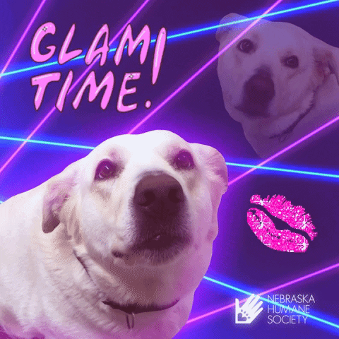 Photo gif. Adorable yellow Labrador photographed in 80s style glam amongst pink and blue lasers alongside a hot pink sparking pair of lips and the text, “Glam Time!” At the bottom, we see the logo for the Nebraska Humane Society.