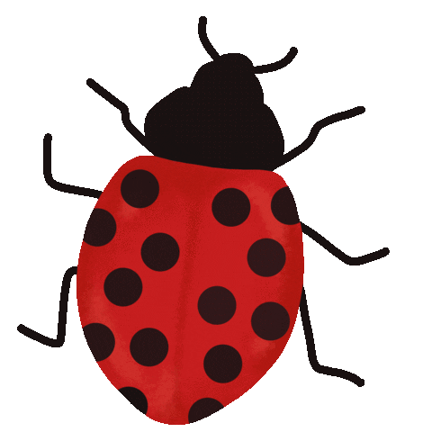 Animated Sticker