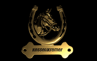 KesselsKramer logo illustration horse branding GIF