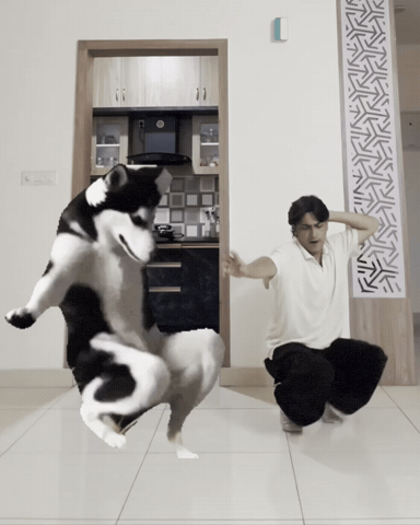 Dance Dog Dancing GIF