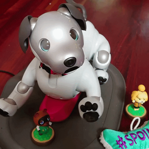 Aibo GIF