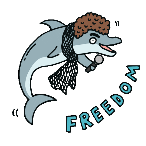 Freedom Dolphin Sticker by Bracenet