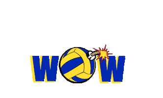 Volleyball Pdv Sticker by Problemi di Volley