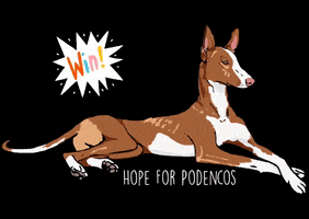 Hope For Podencos GIF