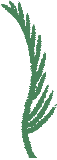 Drawing Forest Sticker by Le Cartel Studio
