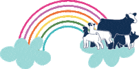 Rainbow Pig Sticker by Stock Show Boutique