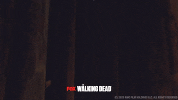 200.gif?cid=fc005b08b8ee07bc9c90283bafd18a83b242117ef51efd65&rid=200.gif&ct=g
