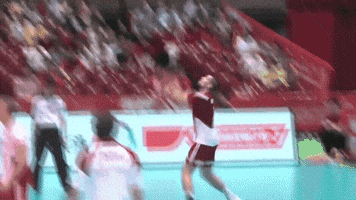 France Wow GIF by Volleyball World