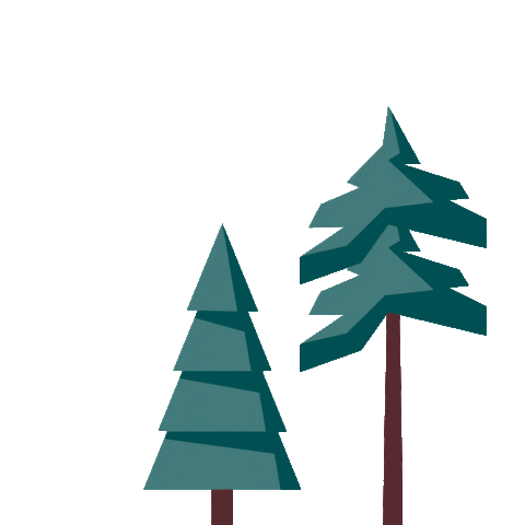 Trees Supportcamp Sticker by anfchallenge
