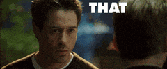 Movie gif. Robert Downey Jr. talks to an indiscernible person in a slow dramatic way. Text appears, "That was incredibly Gay." The word "Gay" flashes in colorful letters. 