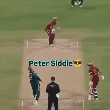 Peshawar Zalmi Pakistan GIF
