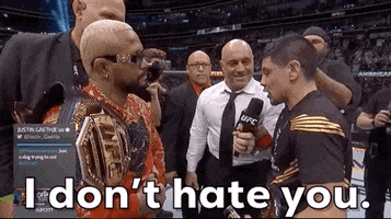 I Dont Hate You God Of War GIF by UFC