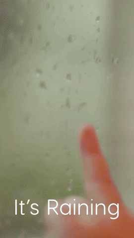 Its Raining GIF by Sealed With A GIF