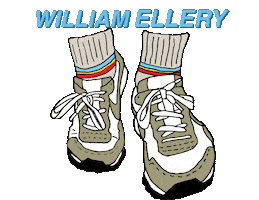 Rec Socks Sticker by William Ellery