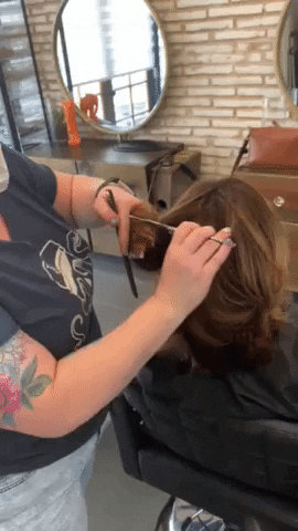 Hair Stylist GIF