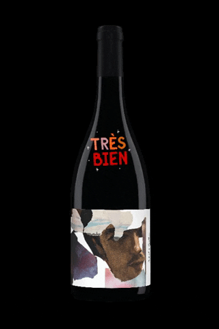 Aubert & Mathieu GIF