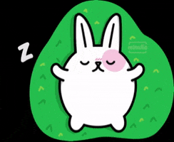 minulle sleep dormir cute bunnies conejo duerme GIF