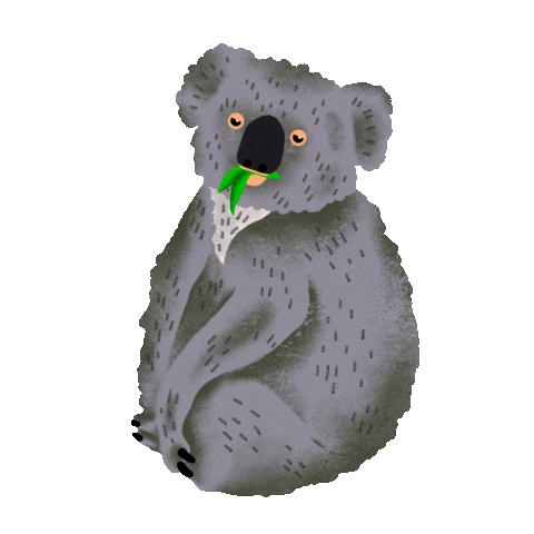 Koala Eucalipto Sticker by María Victoria