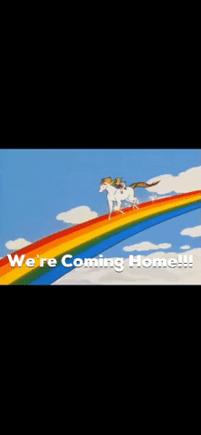 home coming home going home GIF