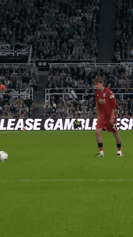 West Brom Goal GIF by West Bromwich Albion