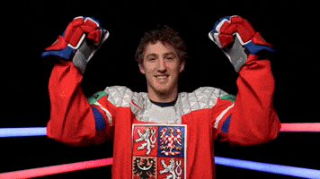 Český hokej GIF