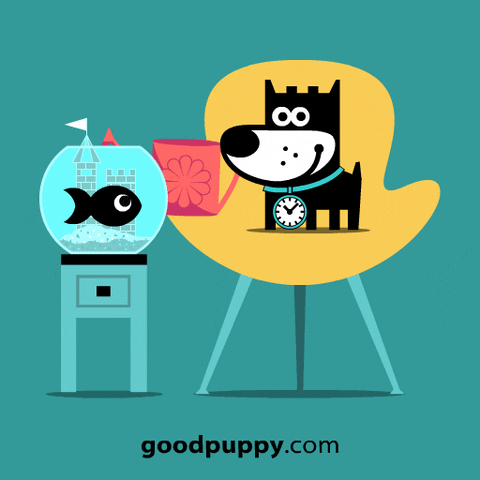Dog Friends GIF by GOOD PUPPY