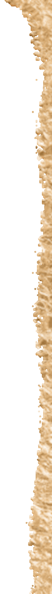 Gold Foil Sticker by Styled by DaraLyn