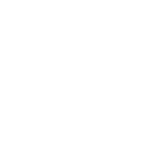 Shine Sticker by SUNLISSPRO