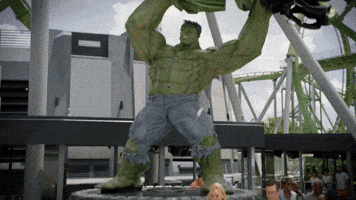 Sorry Roller Coaster GIF