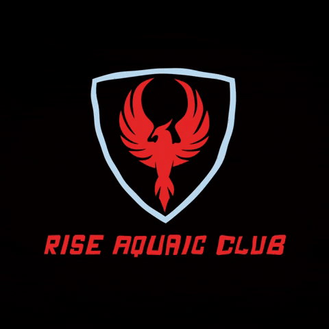 RiseAquaticClub swimming phoenix rise rise up GIF