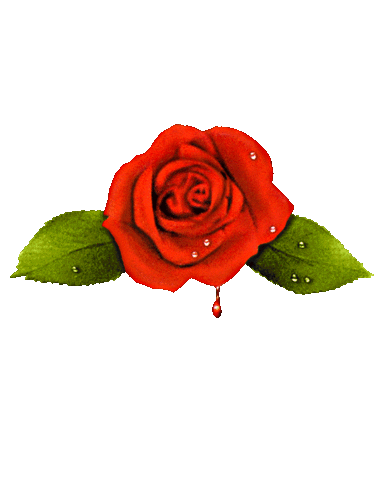 Rose Gnfnr Sticker by Guns N' Roses