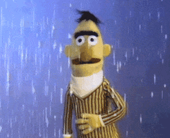 muppetwiki rain sesame street bert GIF