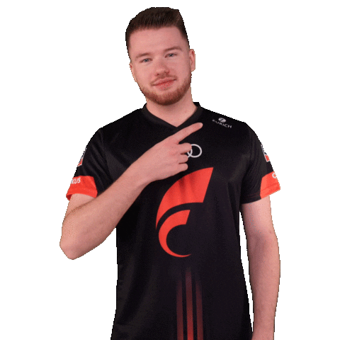 Pointing Fifa20 Sticker by STARK ESPORTS