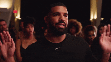 Drake No Guidance GIF by Chris Brown