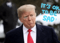 200w.gif?cid=82a1493bd8mc4c0wkdlfu3m8nyr