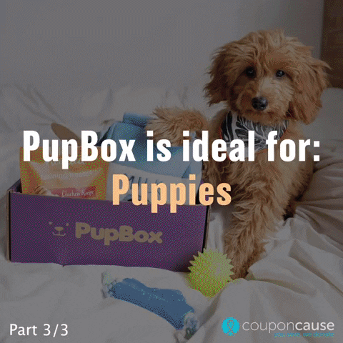 Dog Subscription Box GIF by Coupon Cause - Find & Share on ...