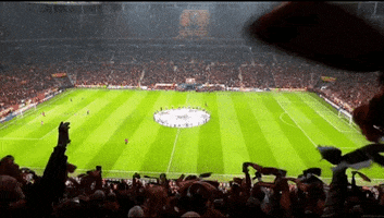 Fans Passion GIF by Galatasaray