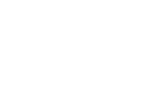 strozzis Sticker