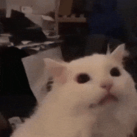 200w.gif?cid=6c09b952afn20ydro5i6k7fsd4h