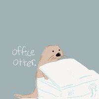 otter vending machine gif