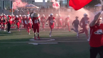 Excited Football GIF by Southern Utah University