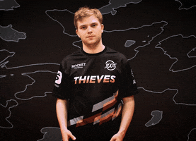 Pro Player Whatever GIF by 100 Thieves