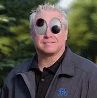 Googly Eyes Mattrouse GIF by Hook SEO