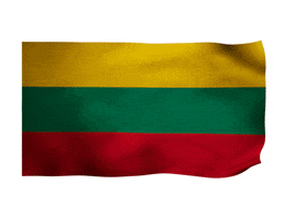 Flag Lithuania GIF by Benediktas Vanagas