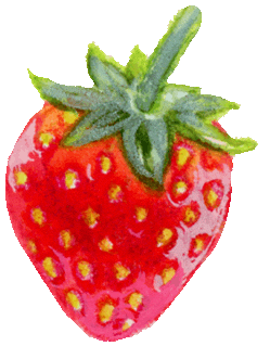 Fruit Strawberry Sticker
