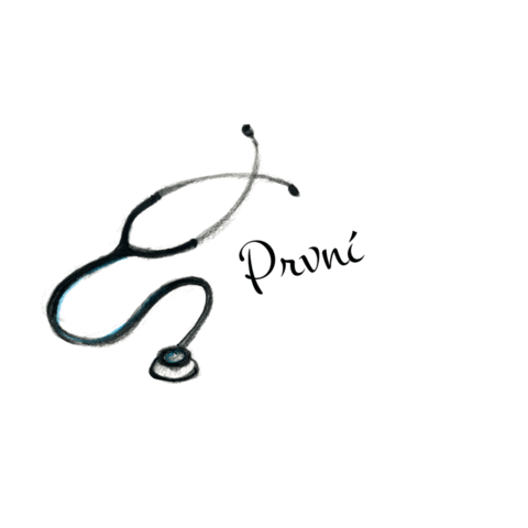 BUDE NÁS VÍC Sticker