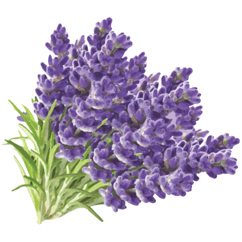 Flower Sticker