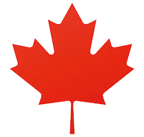 Maple Leaf Canada Sticker by Tim Hortons UK & IE