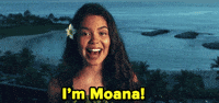 Moana Gifs Get The Best Gif On Giphy Moana Gifs Get The Best Gif On Giphy