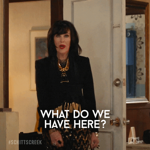 What Do We Have Here Pop Tv GIF by Schitt's Creek